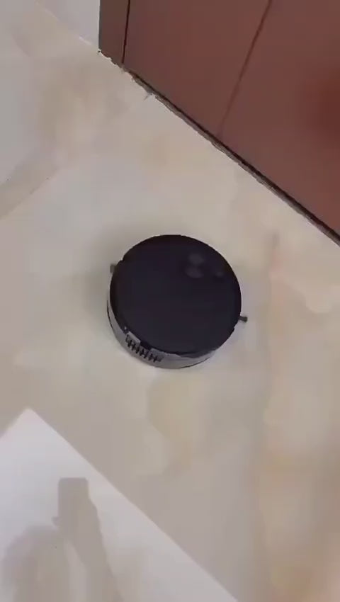 Rechargeable Sweeping Robot
