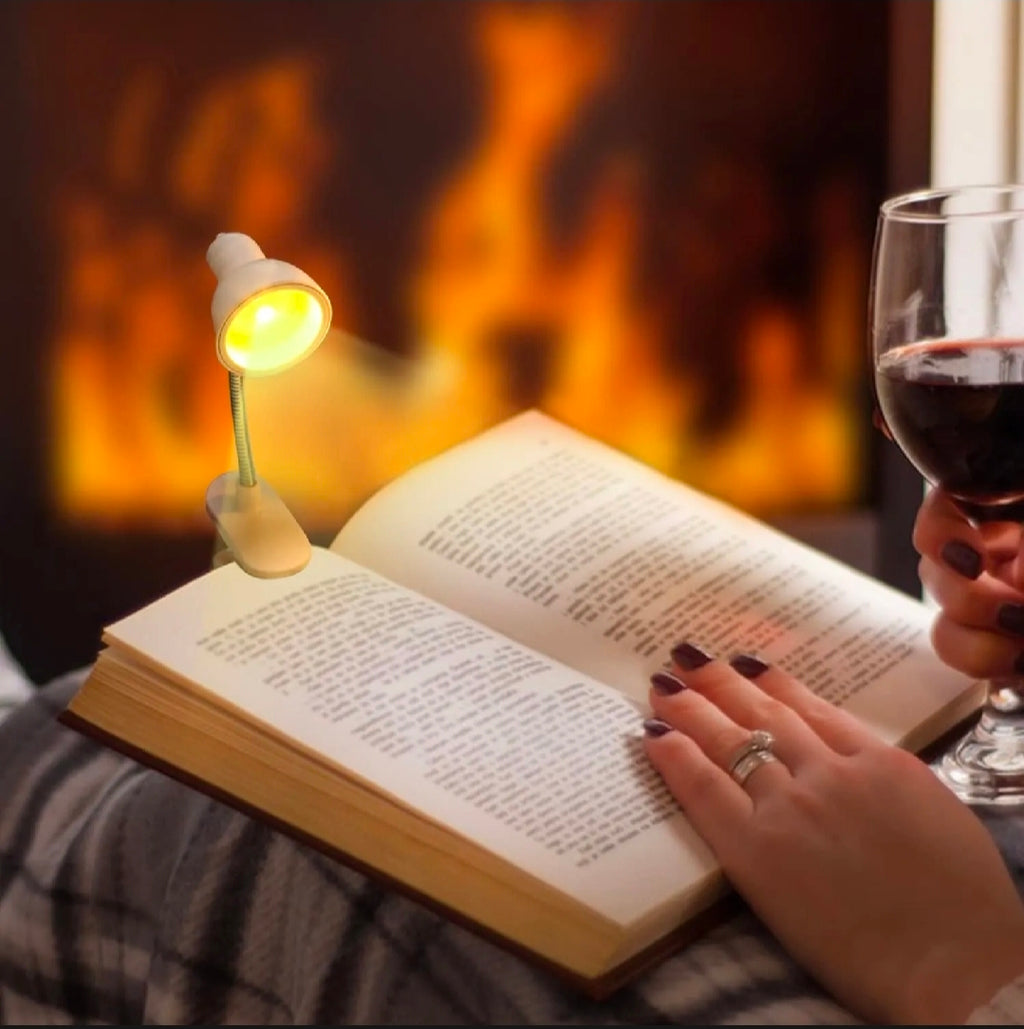 Mini Cute Fancy Book Clip Lamp